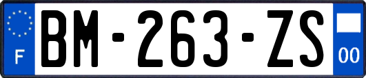 BM-263-ZS