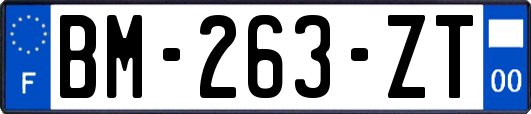 BM-263-ZT