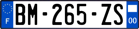 BM-265-ZS