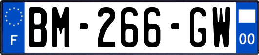 BM-266-GW