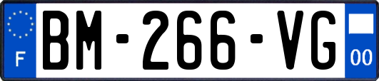 BM-266-VG
