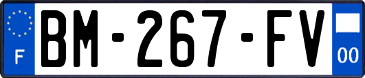 BM-267-FV