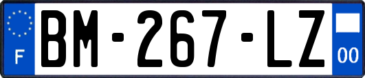 BM-267-LZ