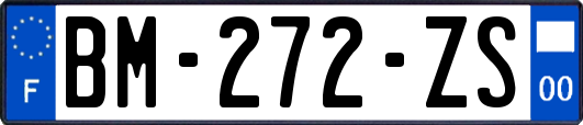 BM-272-ZS