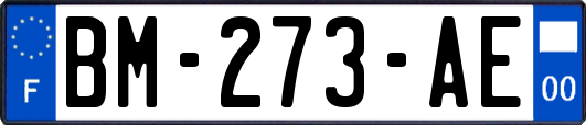 BM-273-AE