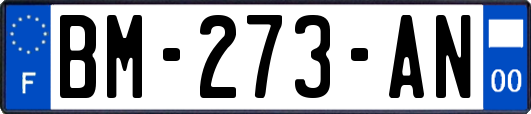 BM-273-AN