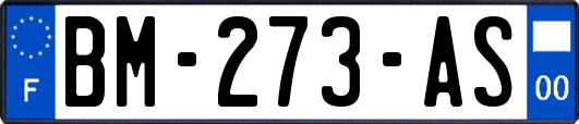 BM-273-AS