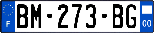 BM-273-BG