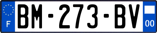 BM-273-BV