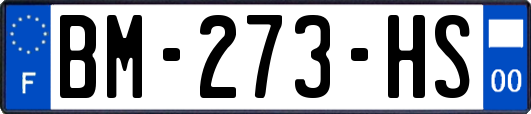 BM-273-HS