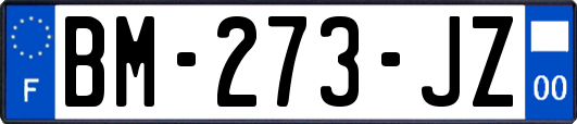 BM-273-JZ