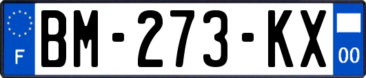BM-273-KX