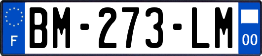 BM-273-LM