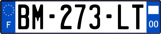 BM-273-LT