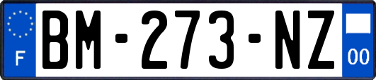 BM-273-NZ