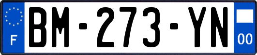 BM-273-YN