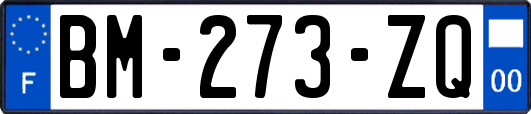 BM-273-ZQ