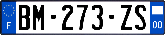 BM-273-ZS