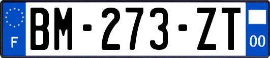 BM-273-ZT