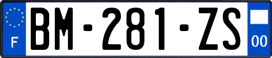 BM-281-ZS