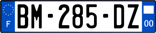 BM-285-DZ