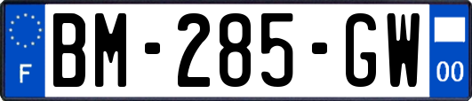 BM-285-GW