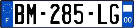 BM-285-LG