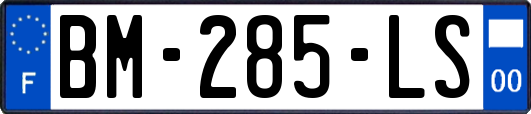 BM-285-LS