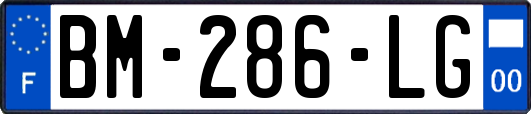 BM-286-LG