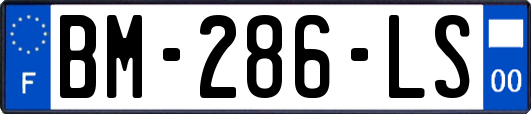 BM-286-LS