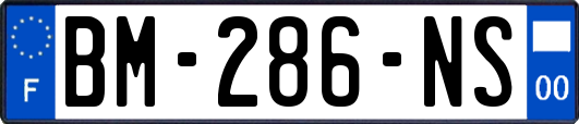 BM-286-NS