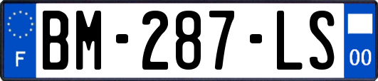 BM-287-LS