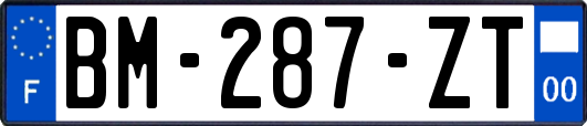 BM-287-ZT