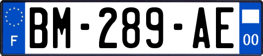 BM-289-AE