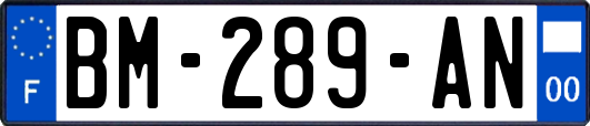 BM-289-AN