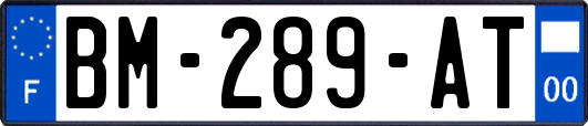 BM-289-AT