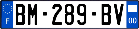 BM-289-BV