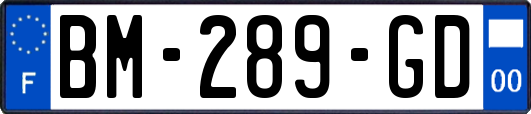 BM-289-GD