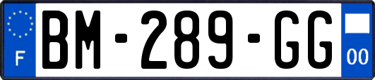 BM-289-GG