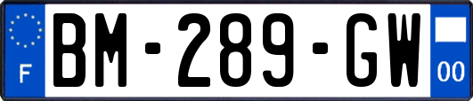 BM-289-GW