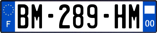 BM-289-HM