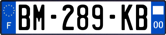 BM-289-KB