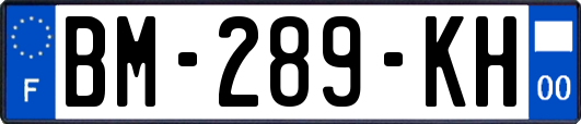 BM-289-KH