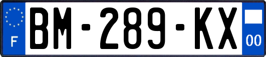 BM-289-KX