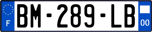 BM-289-LB