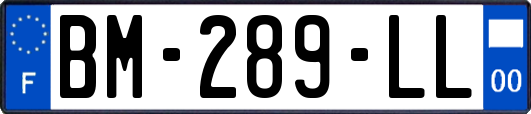 BM-289-LL