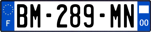 BM-289-MN