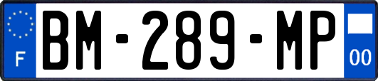 BM-289-MP