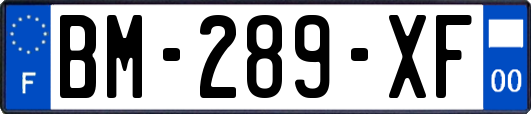 BM-289-XF