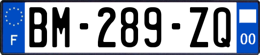 BM-289-ZQ